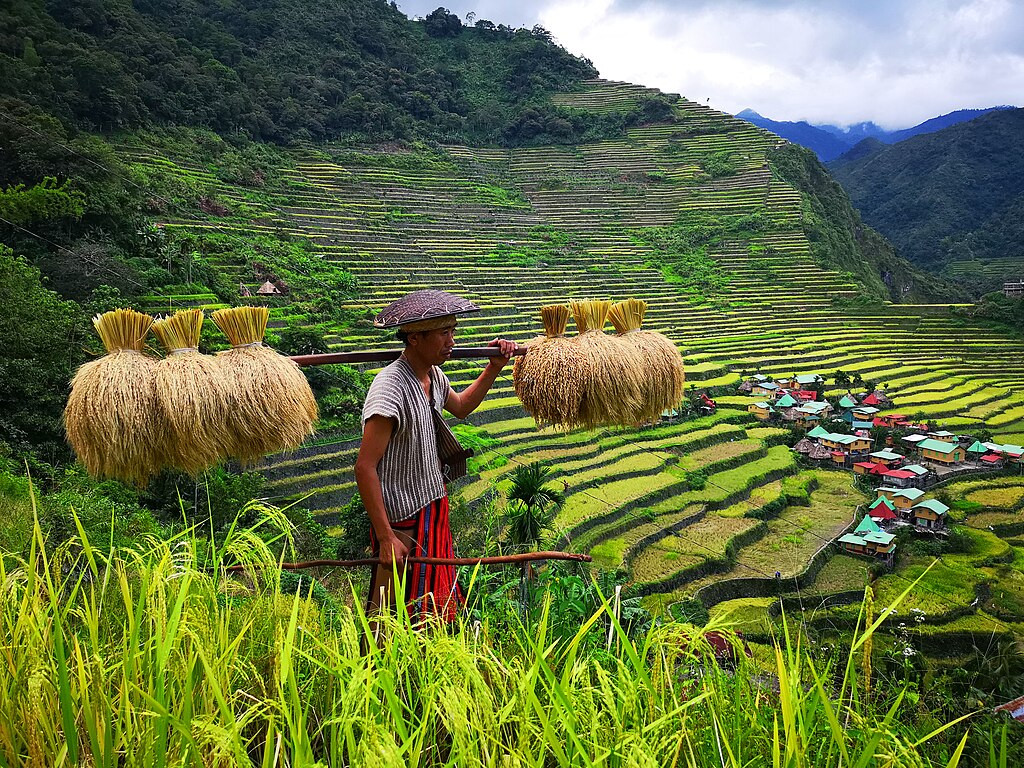 Mangyan Community